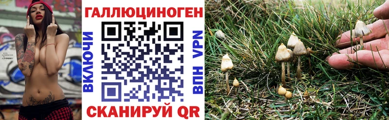 Галлюциногенные грибы мицелий  как найти   Рославль 
